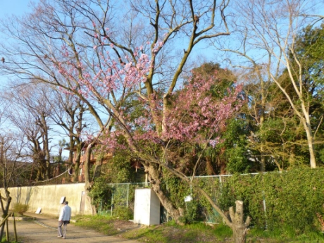 画像17
